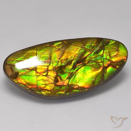 Ammolite Multicolore naturelle Fantaisie, 17.56 ct, Opaque