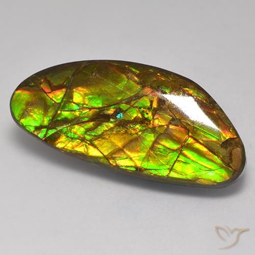 Ammolite Multicolore naturelle Fantaisie, 17.56 ct, Opaque