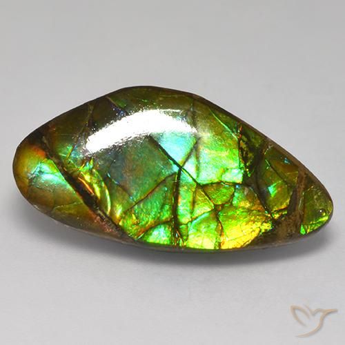 Ammolite Multicolore naturelle Fantaisie, 13.97 ct, Opaque