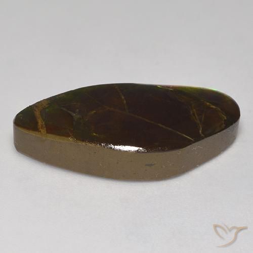 Ammolite Multicolore naturelle Fantaisie, 13.97 ct, Opaque