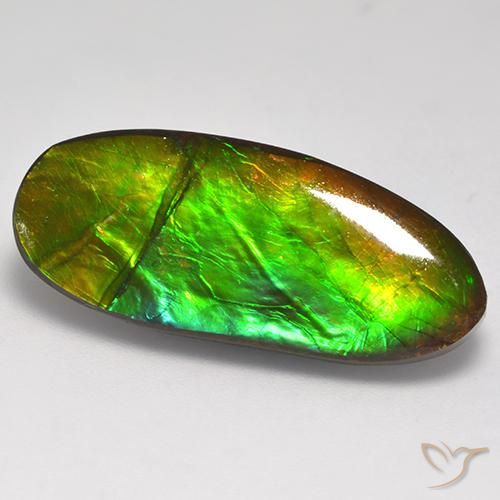 Ammolite Multicolore naturelle Fantaisie, 16.31 ct, Opaque