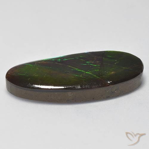 Ammolite Multicolore naturelle Fantaisie, 16.31 ct, Opaque
