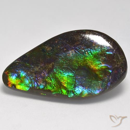 Ammolite Multicolore naturelle Fantaisie, 18.05 ct, Opaque