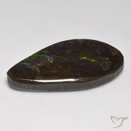 Ammolite Multicolore naturelle Fantaisie, 18.05 ct, Opaque