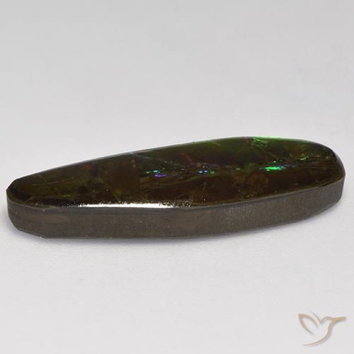 Ammolite Multicolore naturelle Fantaisie, 10.95 ct, Opaque