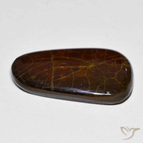 Ammolite Multicolore naturelle Fantaisie, 14.44 ct, Opaque
