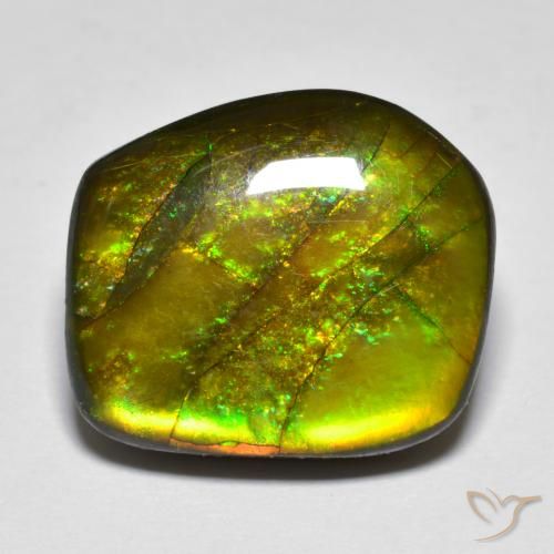 Ammolite Multicolore naturelle Fantaisie, 13.07 ct, Opaque
