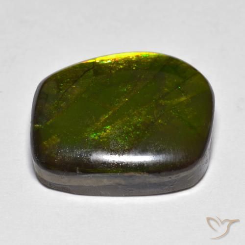 Ammolite Multicolore naturelle Fantaisie, 13.07 ct, Opaque