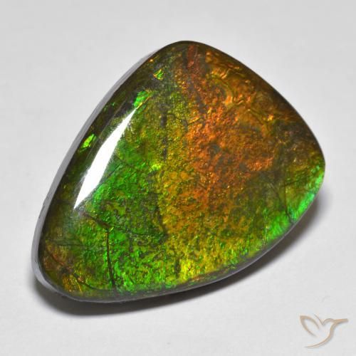 Ammolite Multicolore naturelle Fantaisie, 16.66 ct, Opaque