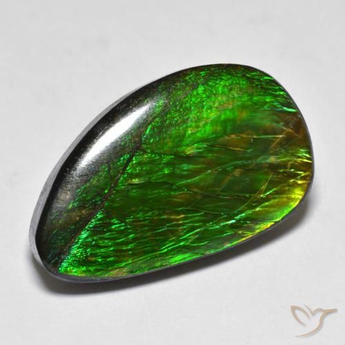 Ammolite Multicolore naturelle Fantaisie, 12.81 ct, Opaque