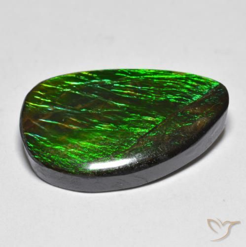 Ammolite Multicolore naturelle Fantaisie, 12.81 ct, Opaque
