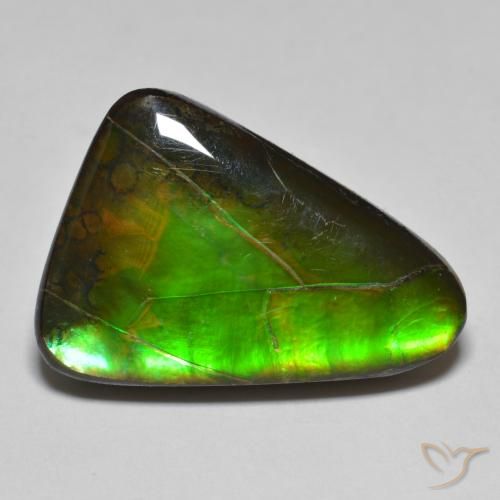 Ammolite Multicolore naturelle Fantaisie, 15.34 ct, Opaque