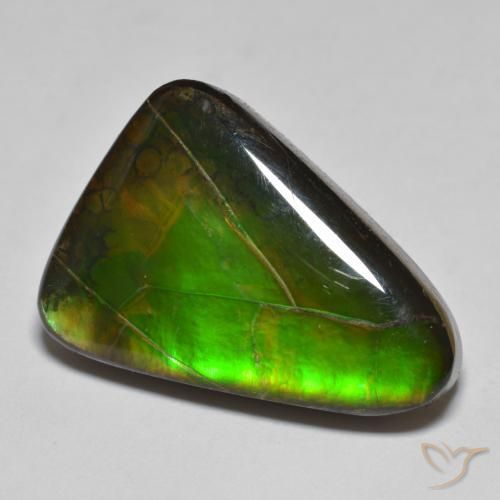 Ammolite Multicolore naturelle Fantaisie, 15.34 ct, Opaque