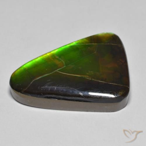 Ammolite Multicolore naturelle Fantaisie, 15.34 ct, Opaque
