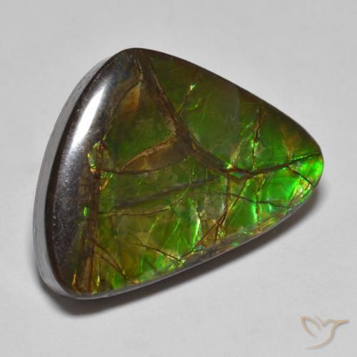 Ammolite Multicolore naturelle Fantaisie, 10.78 ct, Opaque