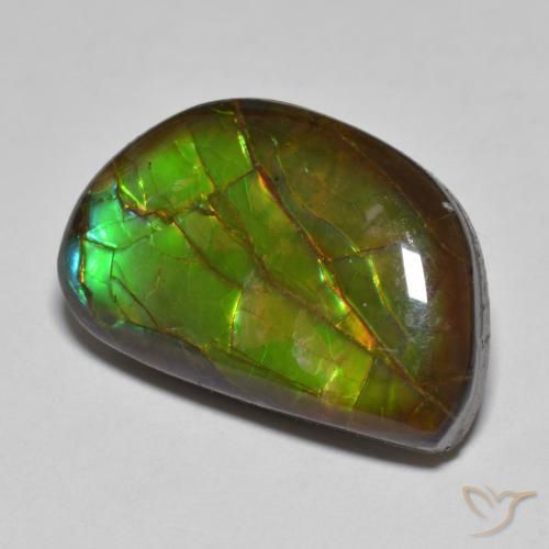 Ammolite Multicolore naturelle Fantaisie, 11.66 ct, Opaque