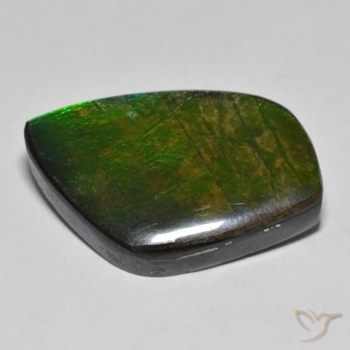 Ammolite Multicolore naturelle Fantaisie, 11.78 ct, Opaque