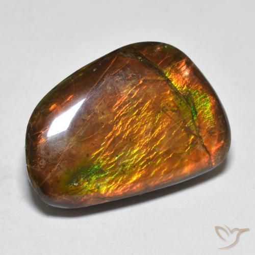Ammolite Multicolore naturelle Fantaisie, 16.39 ct, Opaque
