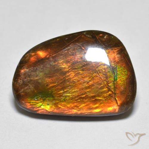 Ammolite Multicolore naturelle Fantaisie, 16.39 ct, Opaque