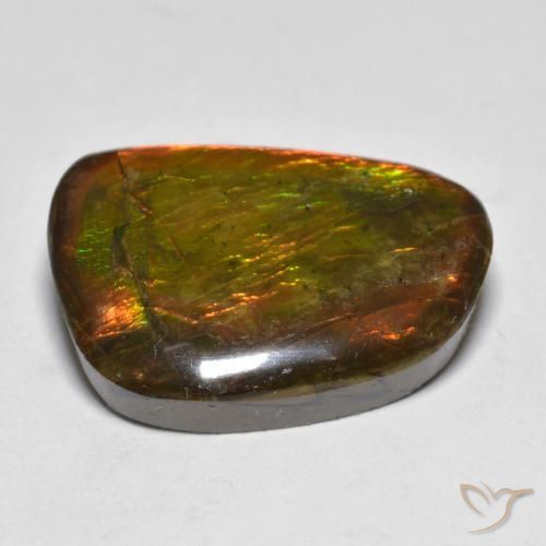 Ammolite Multicolore naturelle Fantaisie, 16.39 ct, Opaque