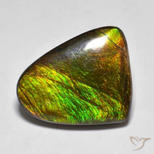 Ammolite Multicolore naturelle Fantaisie, 10.20 ct, Opaque