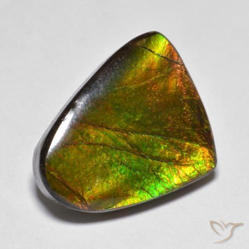 Ammolite Multicolore naturelle Fantaisie, 10.20 ct, Opaque