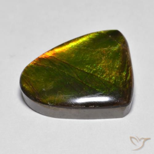 Ammolite Multicolore naturelle Fantaisie, 10.20 ct, Opaque