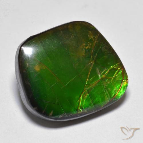 Ammolite Multicolore naturelle Fantaisie, 11.10 ct, Opaque