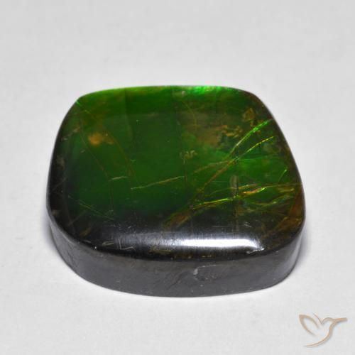 Ammolite Multicolore naturelle Fantaisie, 11.10 ct, Opaque
