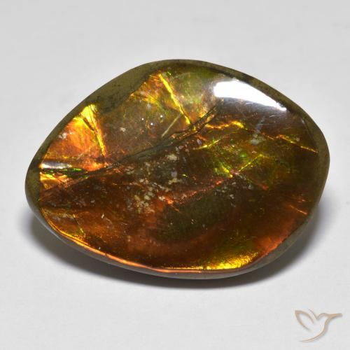 Ammolite Multicolore naturelle Fantaisie, 20.29 ct, Opaque