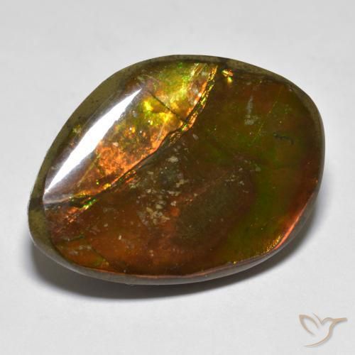 Ammolite Multicolore naturelle Fantaisie, 20.29 ct, Opaque