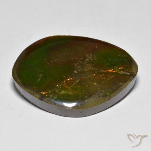 Ammolite Multicolore naturelle Fantaisie, 20.29 ct, Opaque
