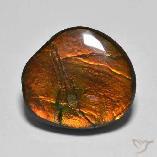 Ammolite Multicolore naturelle Fantaisie, 11.11 ct, Opaque
