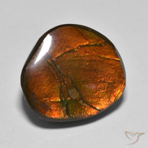 Ammolite Multicolore naturelle Fantaisie, 11.11 ct, Opaque