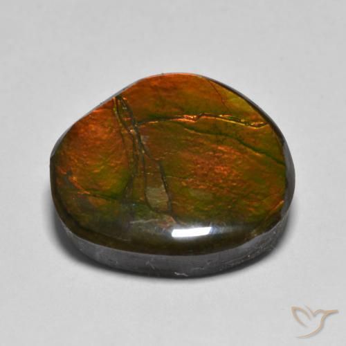 Ammolite Multicolore naturelle Fantaisie, 11.11 ct, Opaque