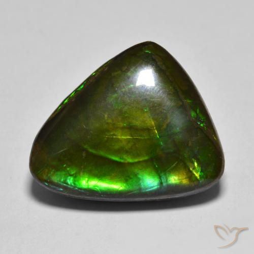 Ammolite Multicolore naturelle Fantaisie, 12.07 ct, Opaque