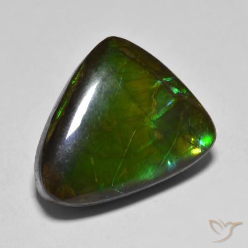 Ammolite Multicolore naturelle Fantaisie, 12.07 ct, Opaque