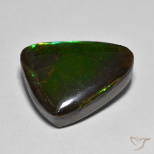 Ammolite Multicolore naturelle Fantaisie, 12.07 ct, Opaque
