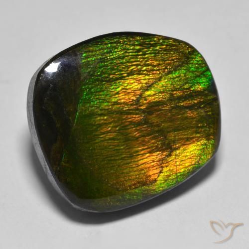 Ammolite Multicolore naturelle Fantaisie, 15.88 ct, Opaque