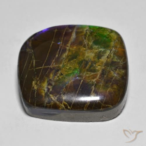 Ammolite Multicolore naturelle Fantaisie, 19.25 ct, Opaque
