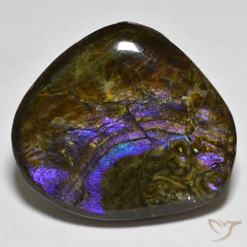 20.55ct Naturel Multicolore Ammolite, Fantaisie, Opaque