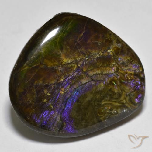 Ammolite Multicolore naturelle Fantaisie, 20.55 ct, Opaque