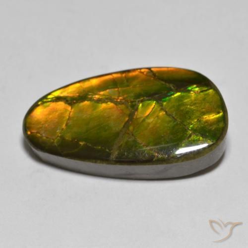 Ammolite Multicolore naturelle Fantaisie, 12.63 ct, Opaque