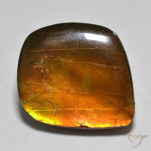 Ammolite Multicolore naturelle Fantaisie, 16.24 ct, Opaque