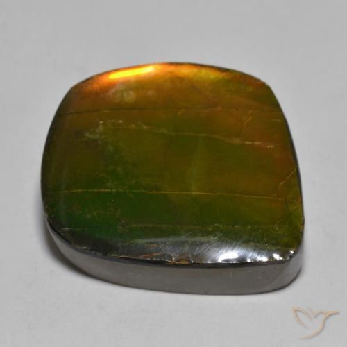 Ammolite Multicolore naturelle Fantaisie, 16.24 ct, Opaque