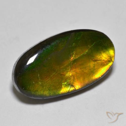Ammolite Multicolore naturelle ovale, 10.40 ct, Opaque