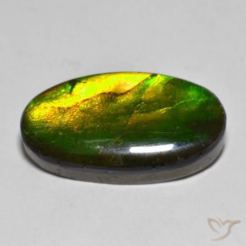 Ammolite Multicolore naturelle ovale, 10.40 ct, Opaque