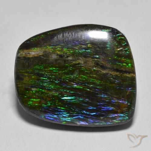 Ammolite Multicolore naturelle Fantaisie, 17.51 ct, Opaque