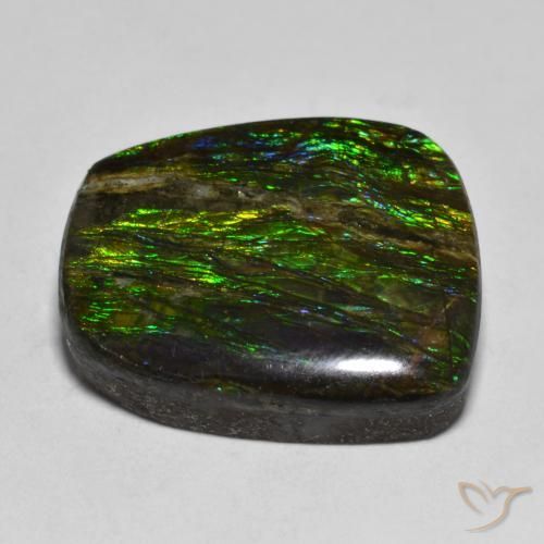 Ammolite Multicolore naturelle Fantaisie, 17.51 ct, Opaque