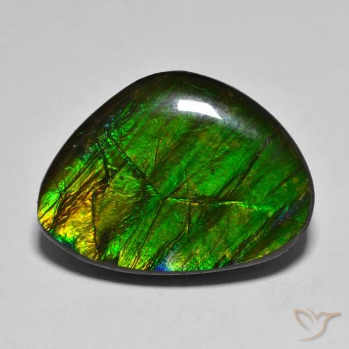Ammolite Multicolore naturelle Fantaisie, 14.85 ct, Opaque